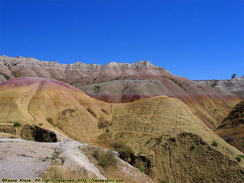 Yellow Mounds Overlook (was Seabed Jungle)