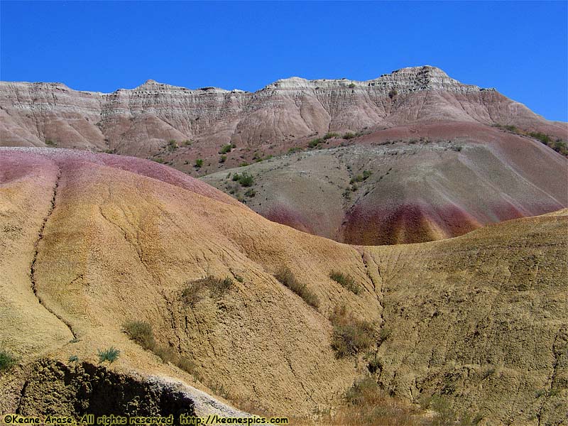 Yellow Mounds Overlook (was Seabed Jungle)