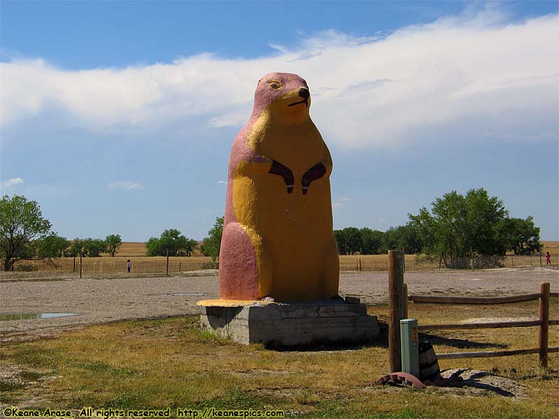 Worlds Largest Prairie Dog