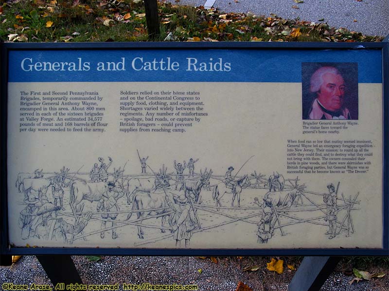 Generals and Cattle Raids sign