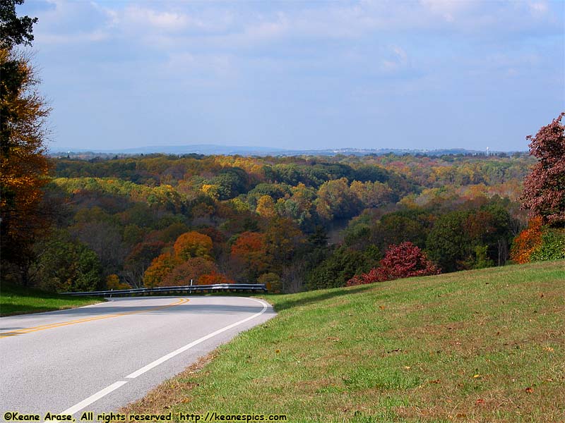 Fall Colors