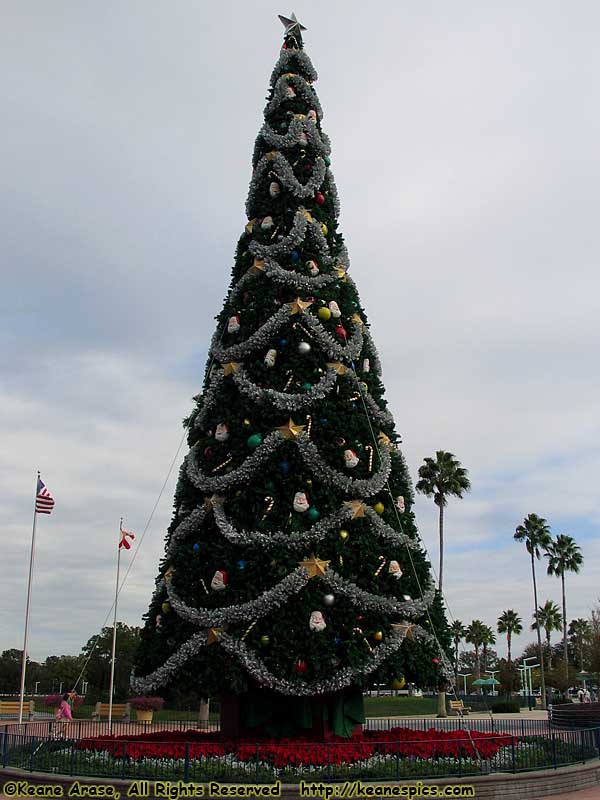 Christmas at DHS