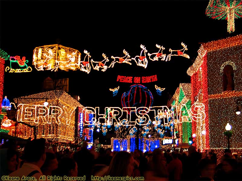 Christmas at DHS / Streets of America