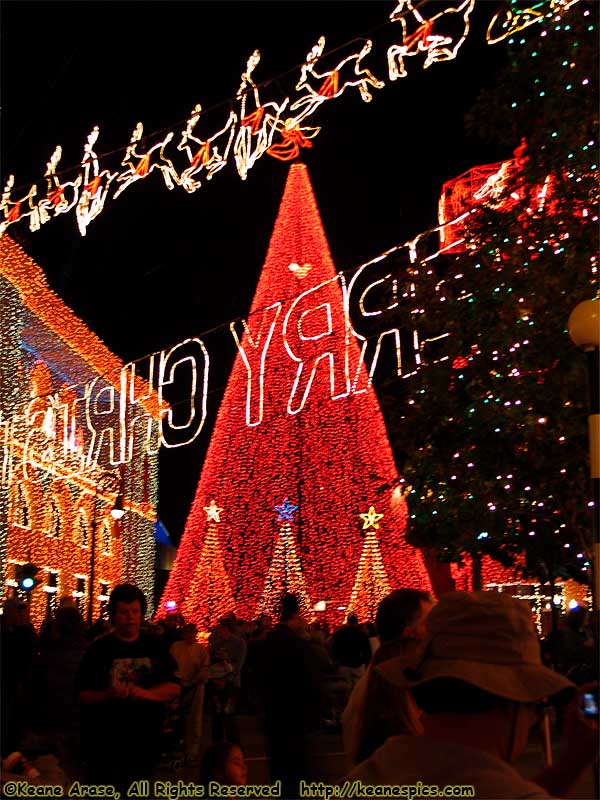 Christmas at DHS / Streets of America