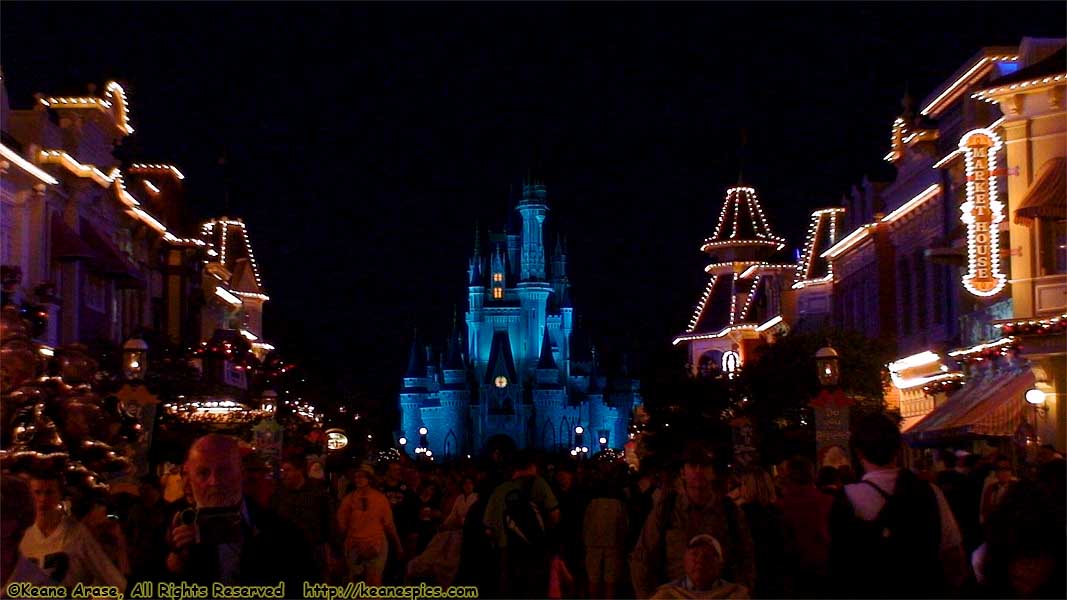 Cinderella Castle