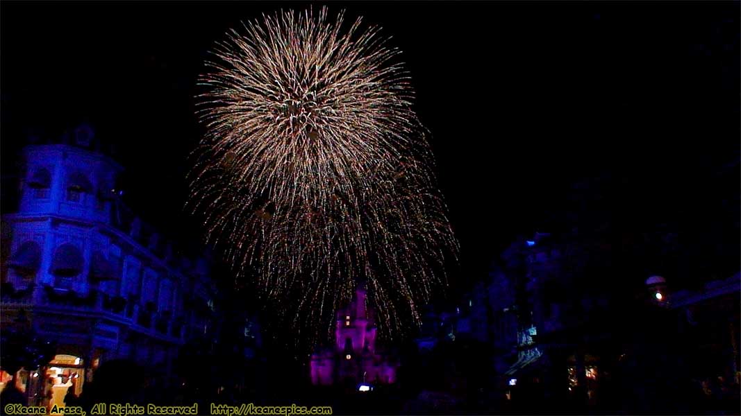 Wishes Nighttime Spectacular