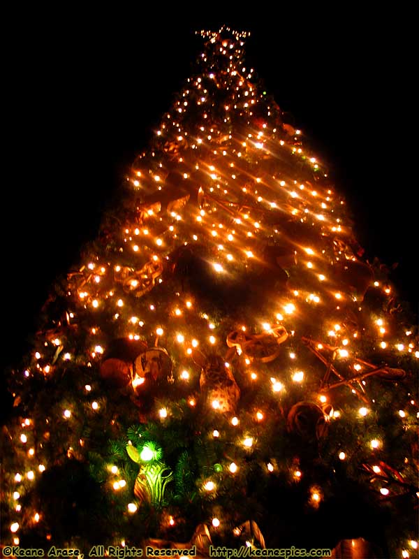 Animal Kingdom's Christmas Trees