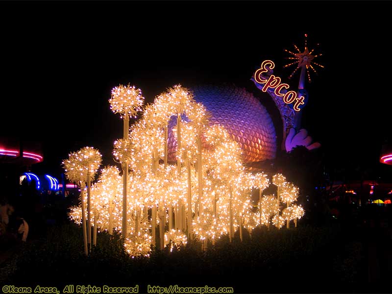 Christmas At Epcot at Night