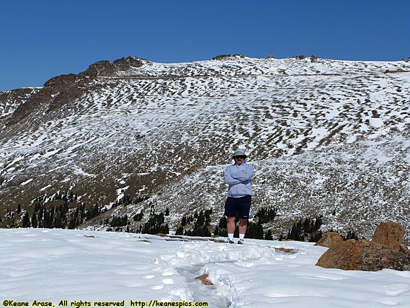 Trail Ridge Road, Forest Canyon Pullout