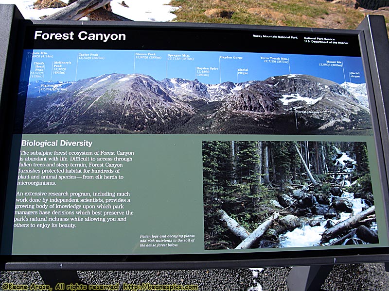 Trail Ridge Road, Forest Canyon Pullout