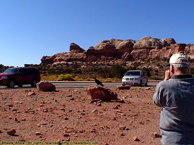 Green River Overlook