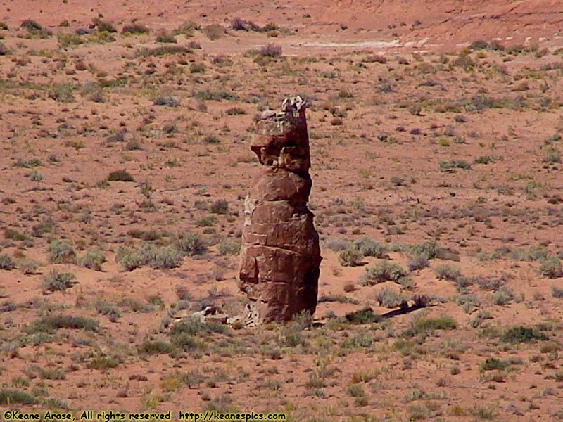 Prairie Dog Rock