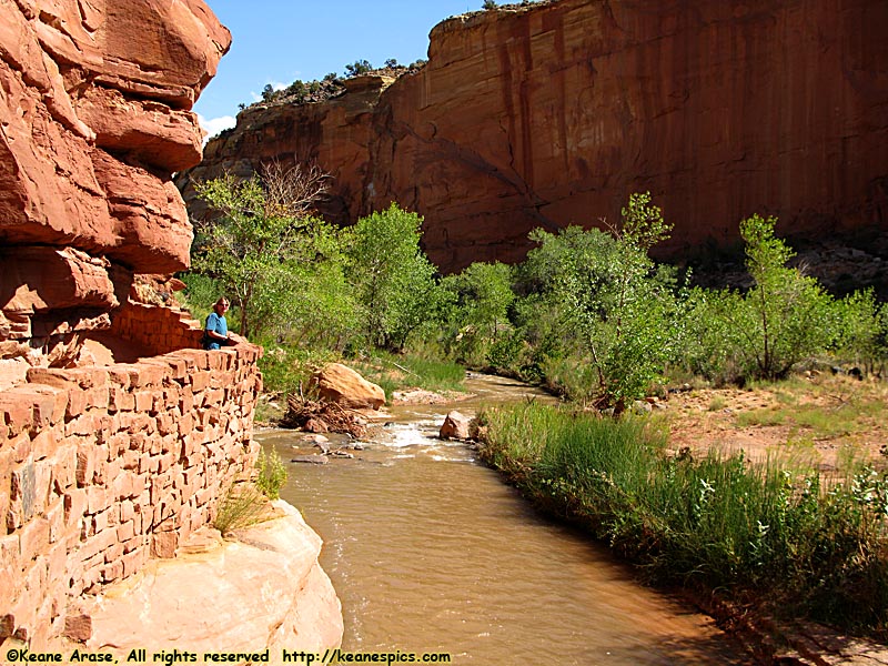 Hickman Bridge Area