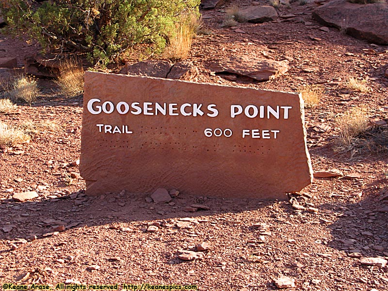 Goosenecks Point