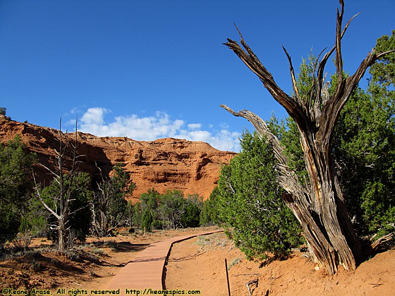 Nature Trail