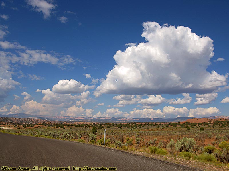 Utah desert scrub