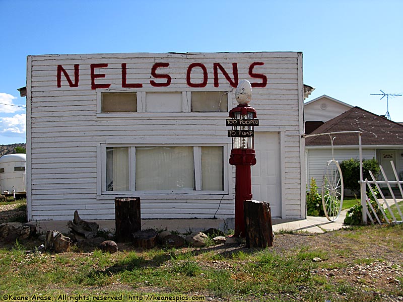 Nelsons