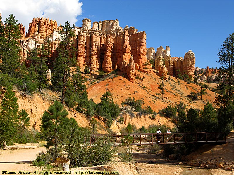 Mossy Cave Trail