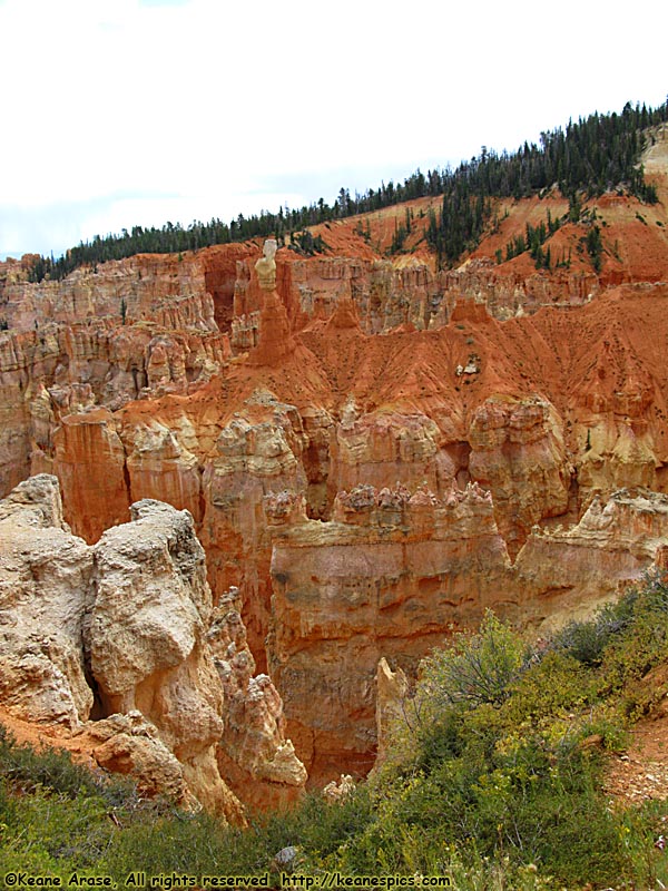 Agua Canyon