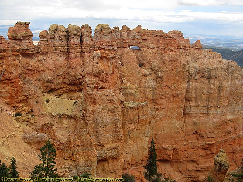 Black Birch Canyon