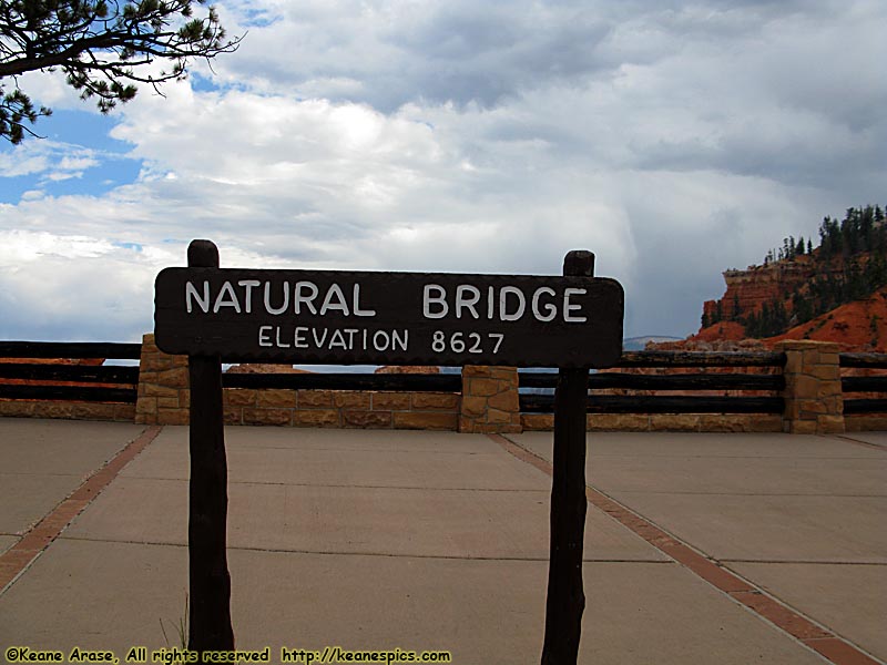 Natural Bridge