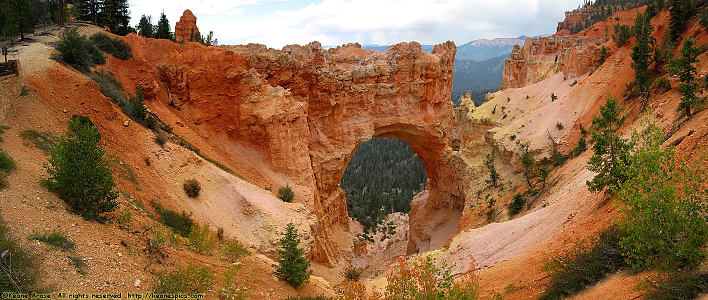 Natural Bridge