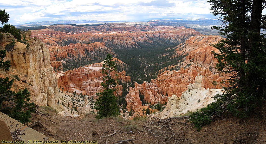 Bryce Point