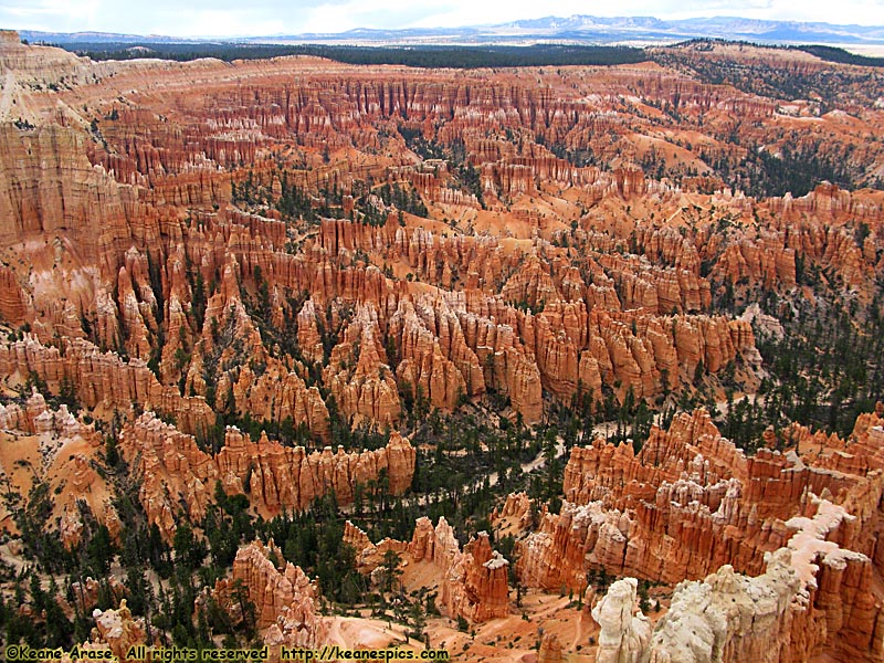 Bryce Point