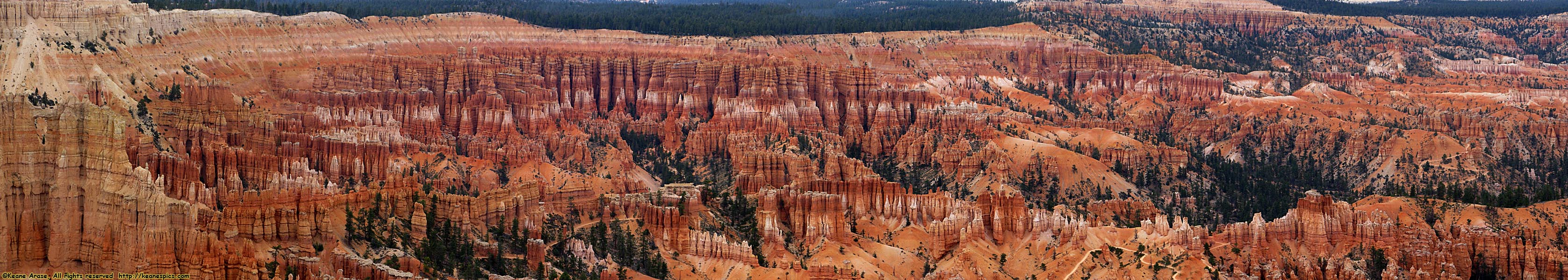 Bryce Point