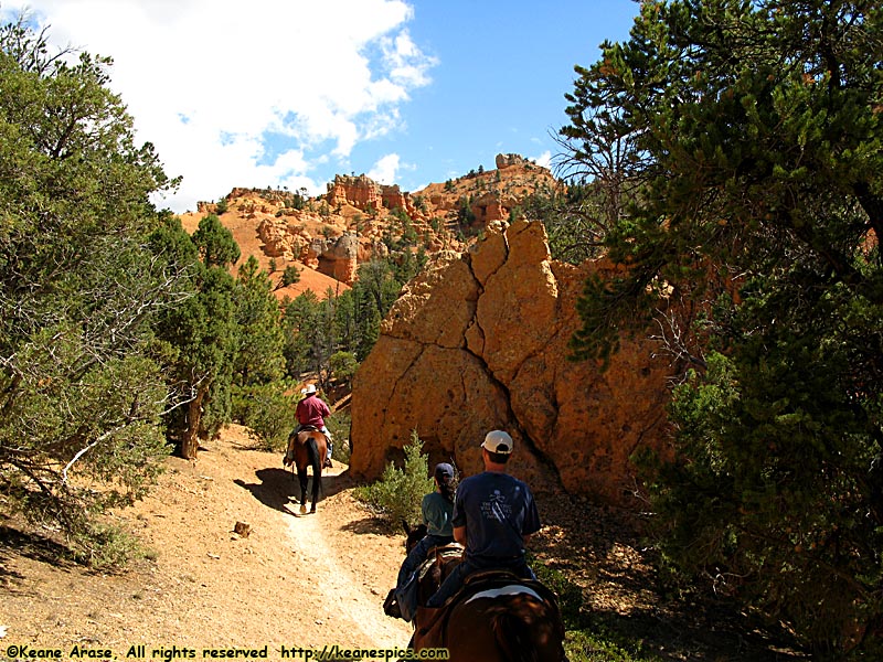 Jo's Horseback Ride