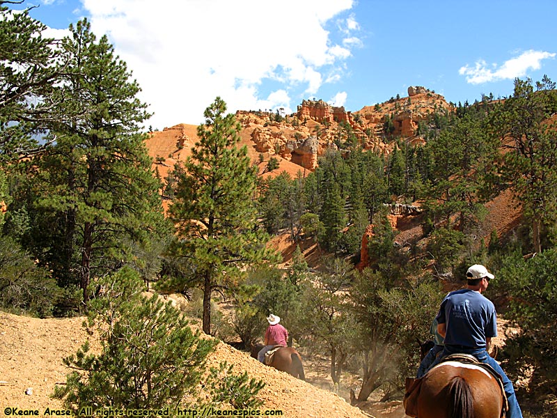 Jo's Horseback Ride