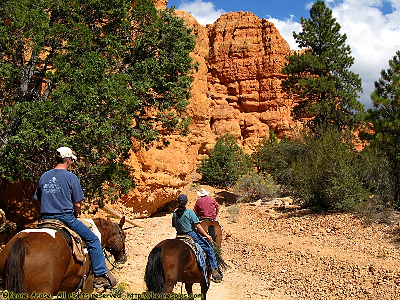 Jo's Horseback Ride