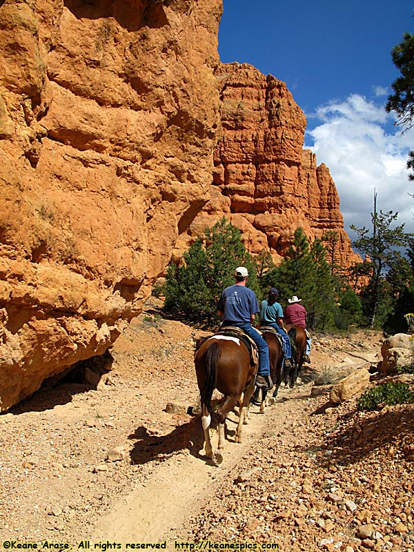 Jo's Horseback Ride