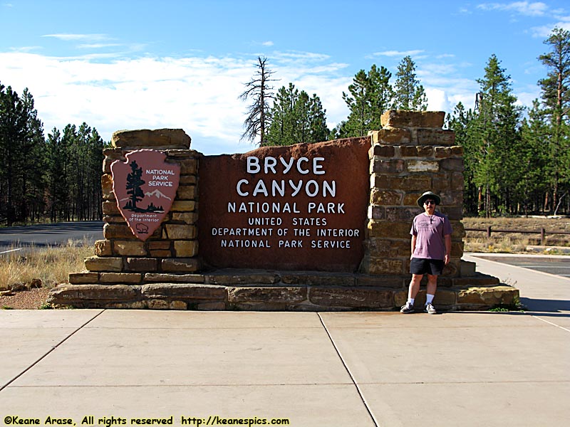 Entrance Sign