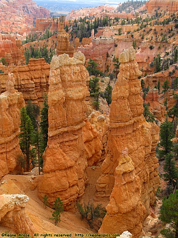 Fairyland Canyon