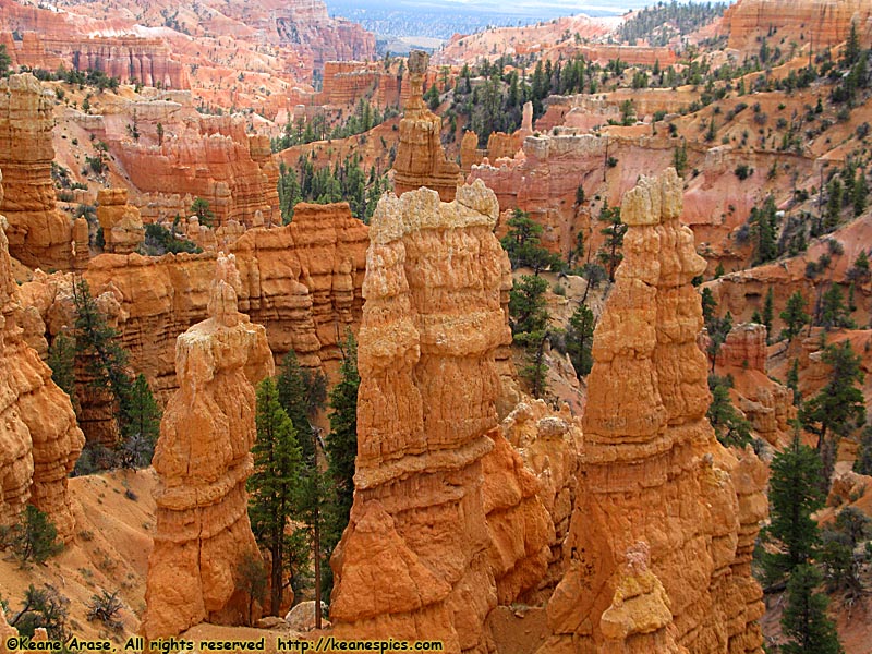 Fairyland Canyon