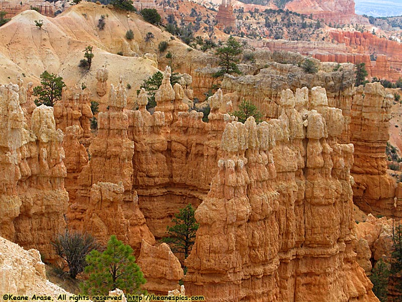 Fairyland Canyon