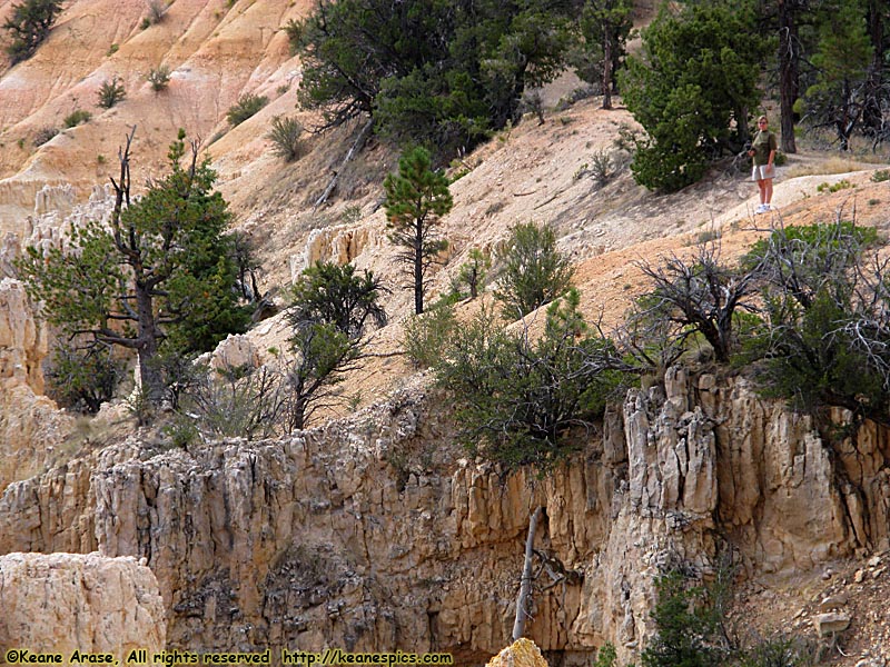 Fairyland Canyon