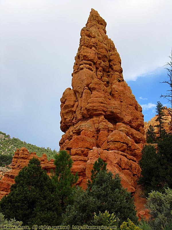 Red Canyon