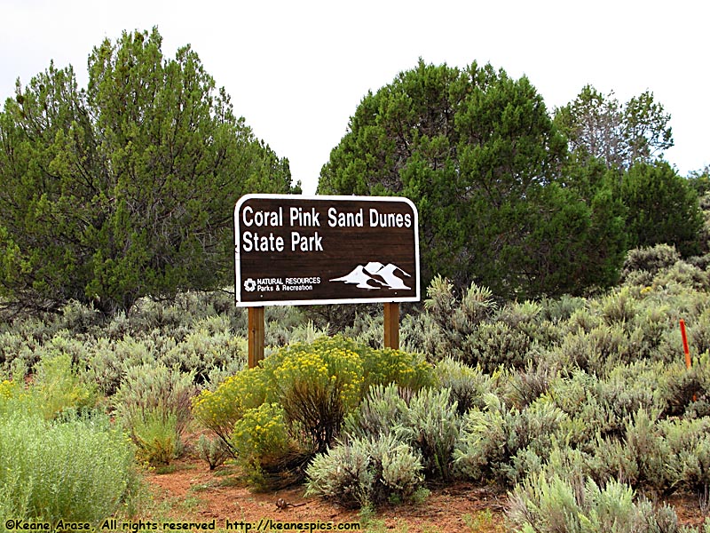 Entrance Sign