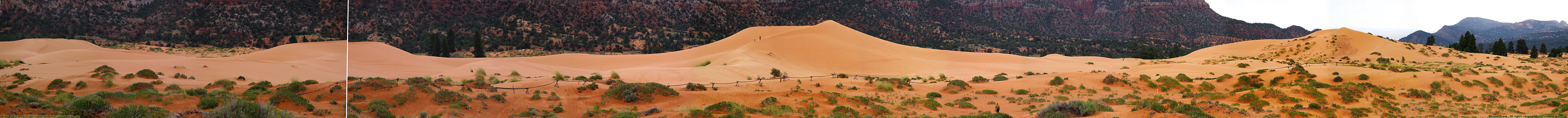 Dune field