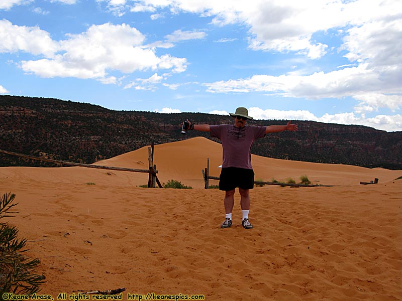 Dune field