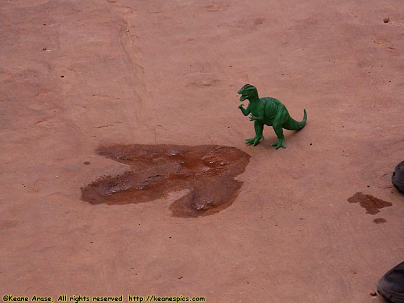 Dino tracks