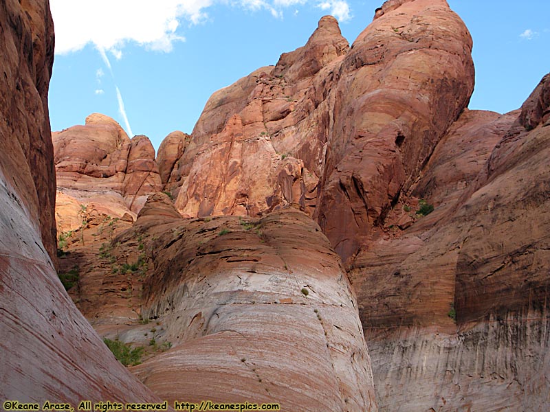 Rainbow Bridge Canyon