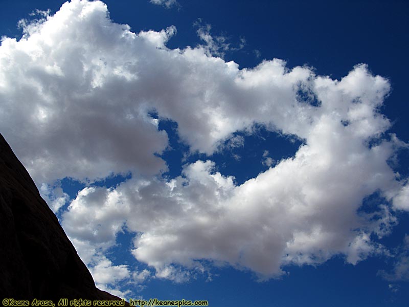 Cloud fish