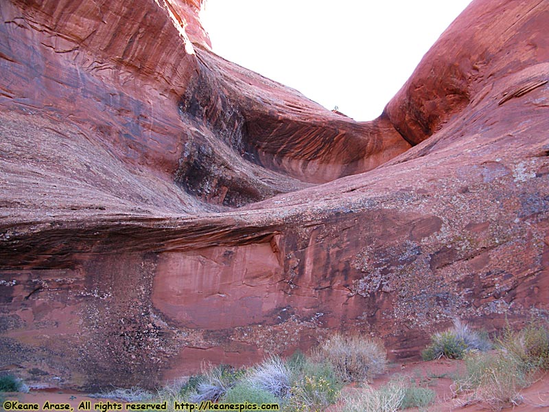 Ear of the Wind Arch