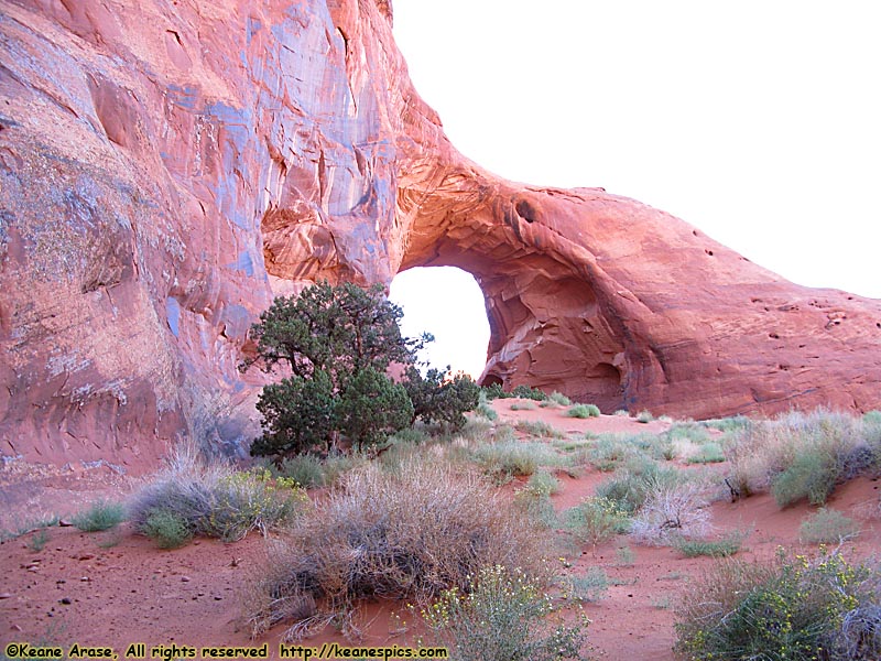 Ear of the Wind Arch