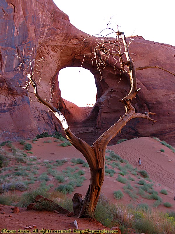 Ear of the Wind Arch