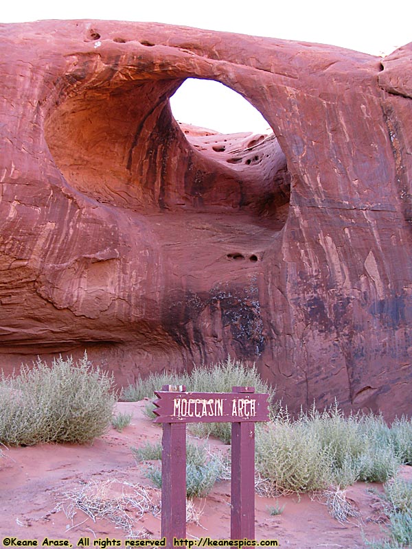 Moccasin Arch