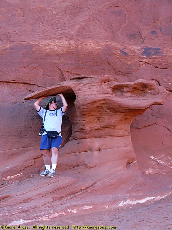 Moccasin Arch